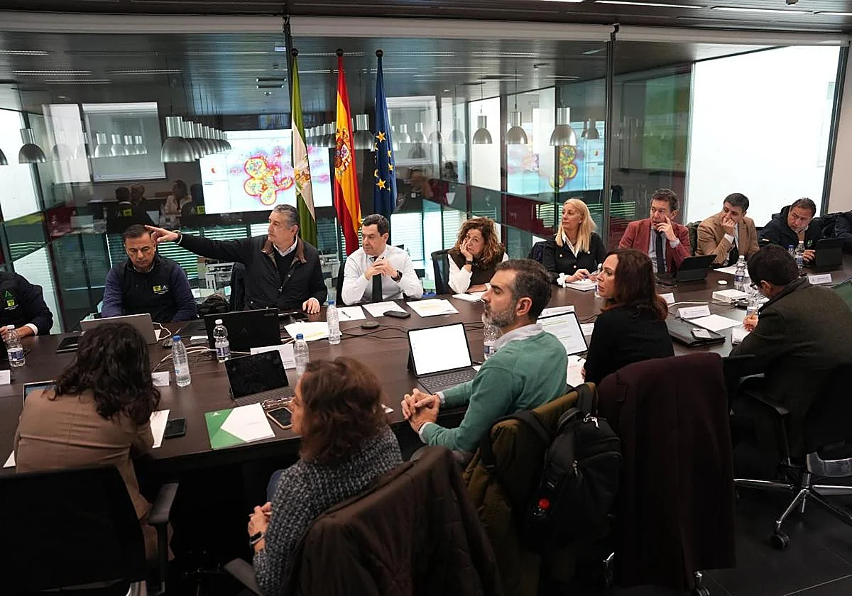 Directo | Comparecencia tras la reunión del Comité Asesor del Plan de Emergencias de Andalucía