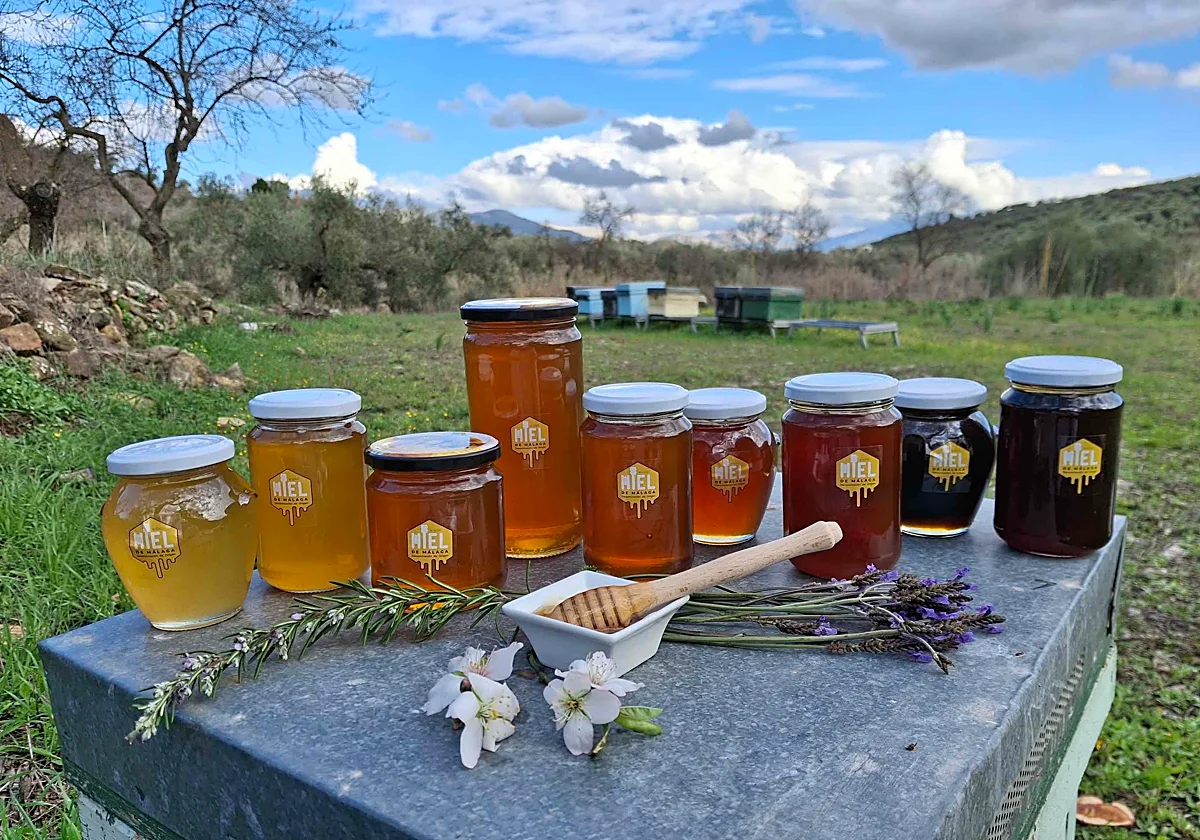 La Miel de Málaga afianza su futuro tras la inscripción de la Denominación de Origen Protegida en Europa