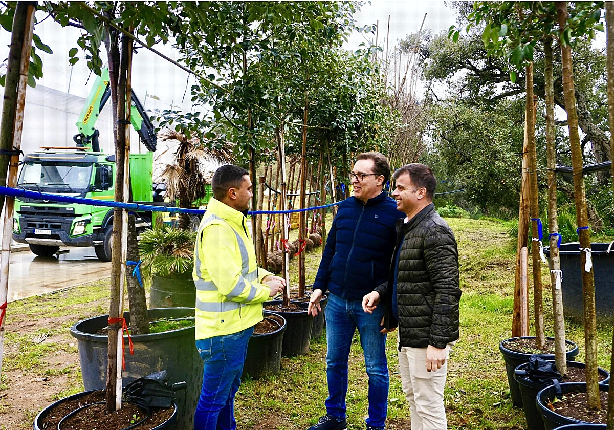 Marbella se prepara para plantar 350 nuevos árboles en los próximos meses