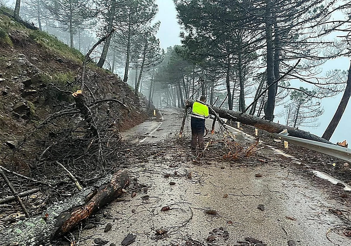 Estas son las carreteras de Andalucía cerradas este miércoles por inundaciones