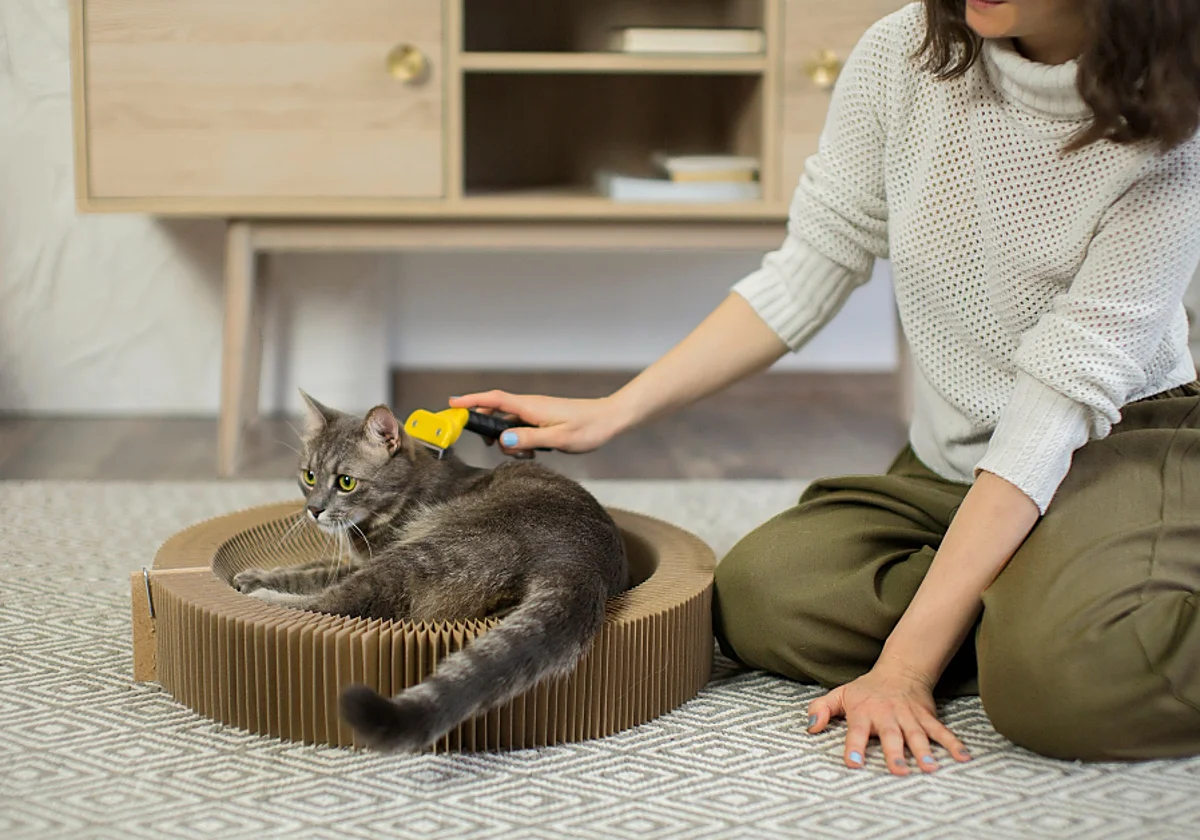 FURminator, el cepillo le da brillo a tu gato y hace que se haya menos pelo en el sofá