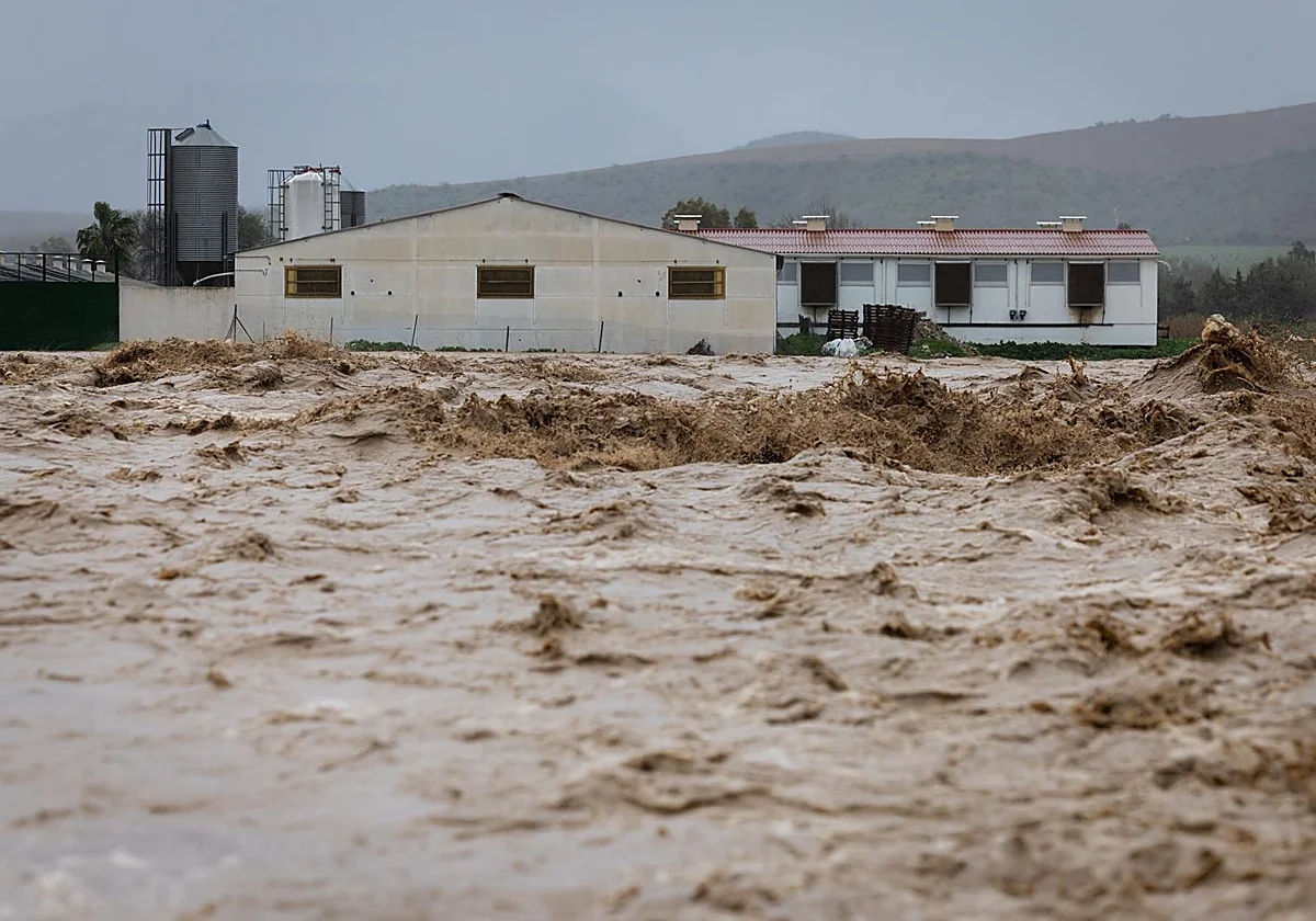 Suben a una decena los puntos con alerta por riadas tras 12 horas de lluvias continuas en la provincia de Málaga