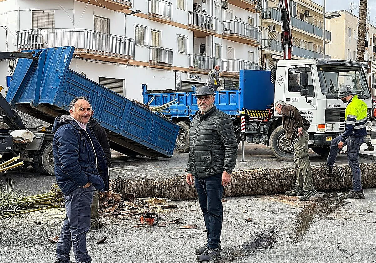 Palm trees felled in Salobreña as more storms forecast