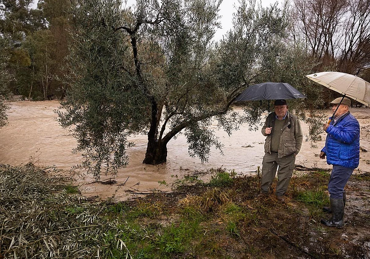 Leonardo empezará a debilitarse el viernes, pero el sábado llegará otra borrasca que intensificará la lluvia y el viento