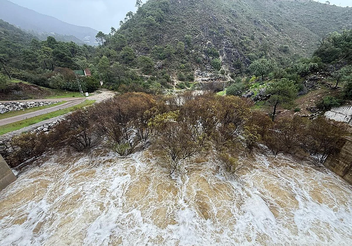 Schools go back to normal this Thursday in most, but not all, of Malaga province