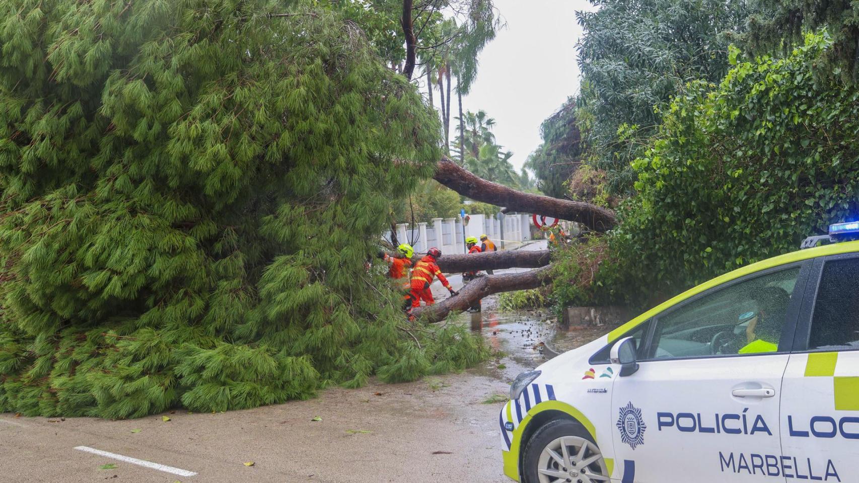 Última hora de la borrasca Leonardo, en directo | Casi toda España en alerta por viento, lluvia y oleaje, con siete comunidades en nivel de alerta naranja