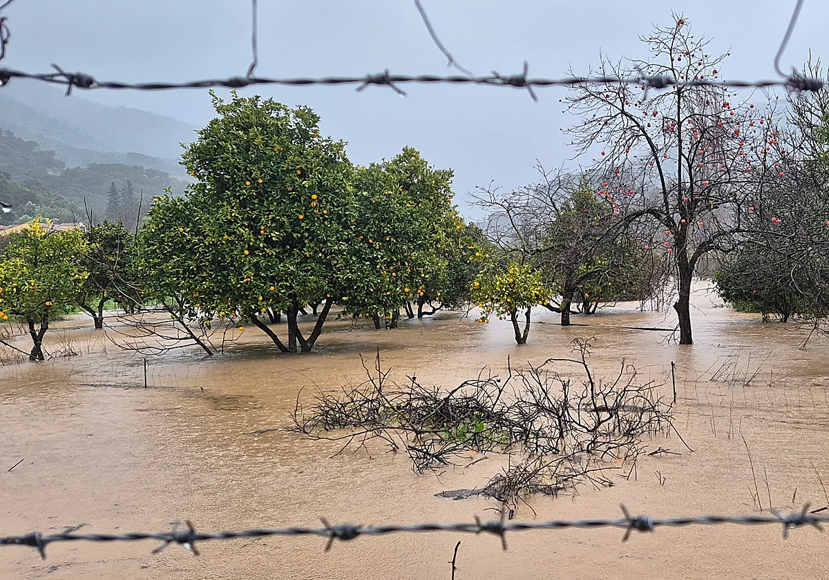 Málaga inicia el segundo día de la borrasca Leonardo con seis ríos aún en alerta por crecidas