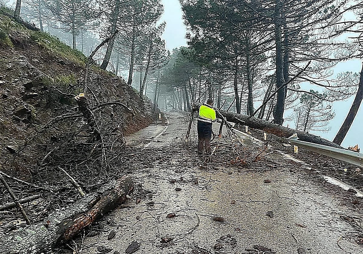 Un herido leve tras el derrumbe de un muro en una vivienda en Genalguacil