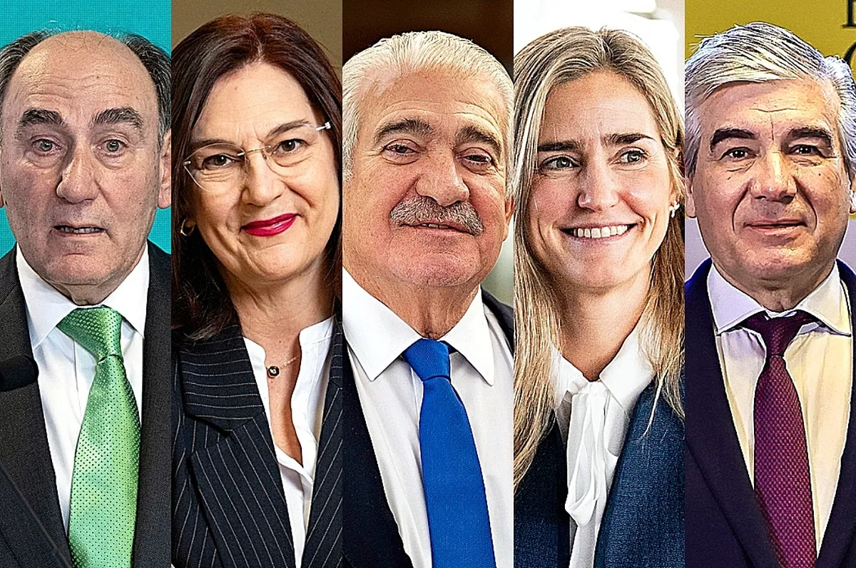 CNMC abre una gran auditoría de la red eléctrica contra la especulación