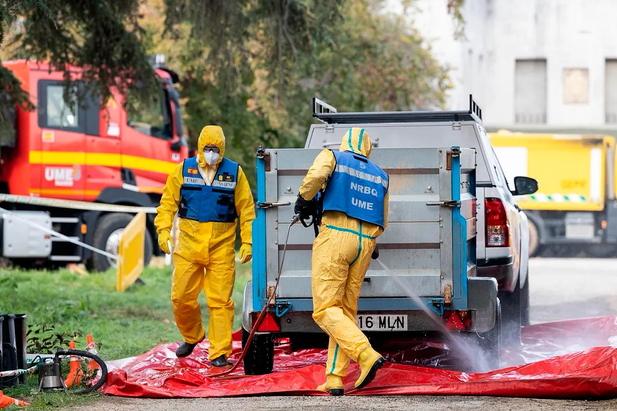 El Gobierno investiga si la peste porcina ha salido de un laboratorio