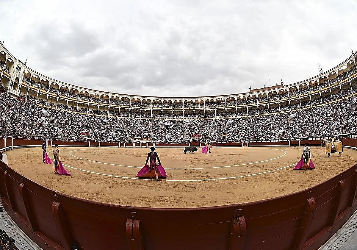 UN urges Spain to ban children from bullfights to protect them from 'extreme violence'