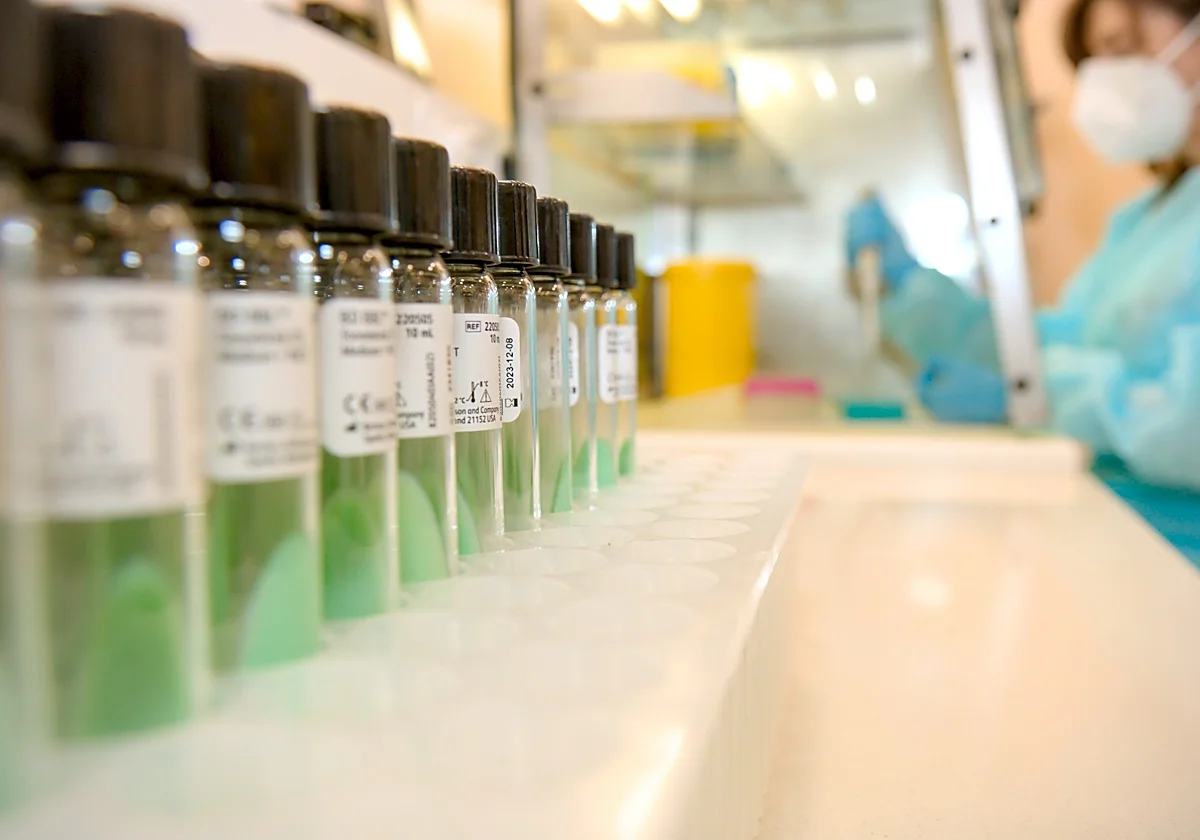 Andalucía measles outbreak: second vaccine dose brought forward as cases surge in Malaga