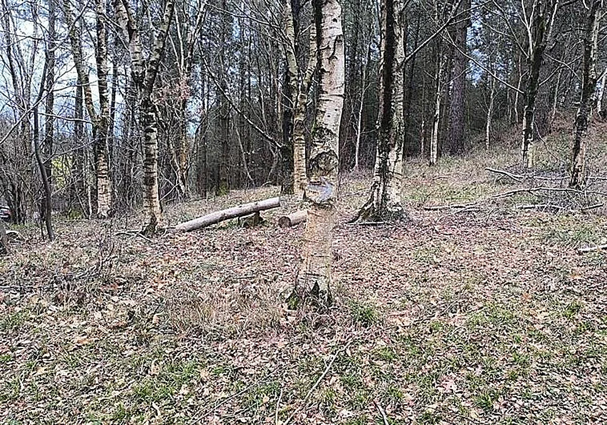 La Ertzaintza encuentra sin vida a un vecino de Baracaldo con varias puñaladas