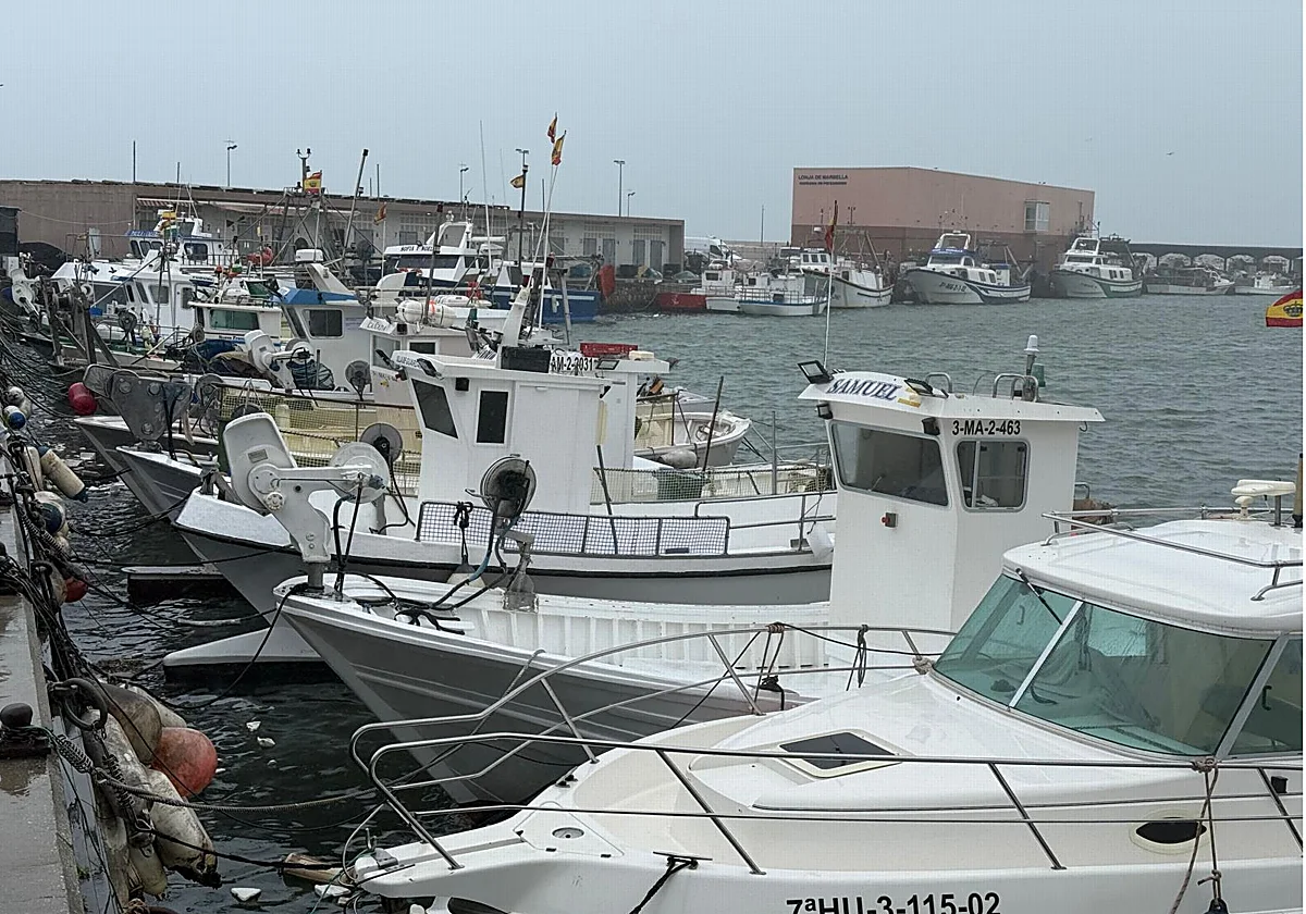 Málaga, sin pescado fresco de la bahía por la sucesión de temporales