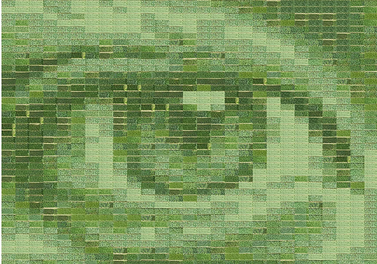 Una joven artista española hace la fotografía más grande del mundo