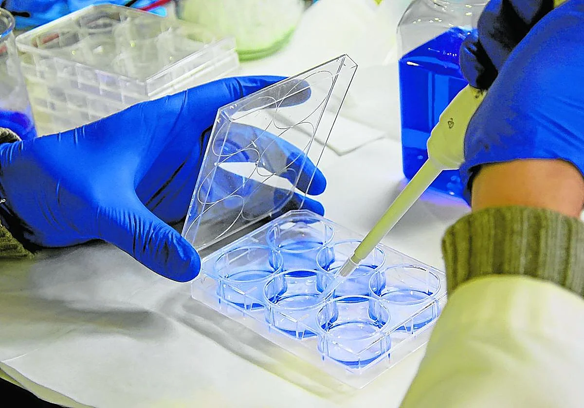 La mayoría de españoles confía en que la ciencia curará el cáncer en 2050 pero no en que acabe con la pobreza