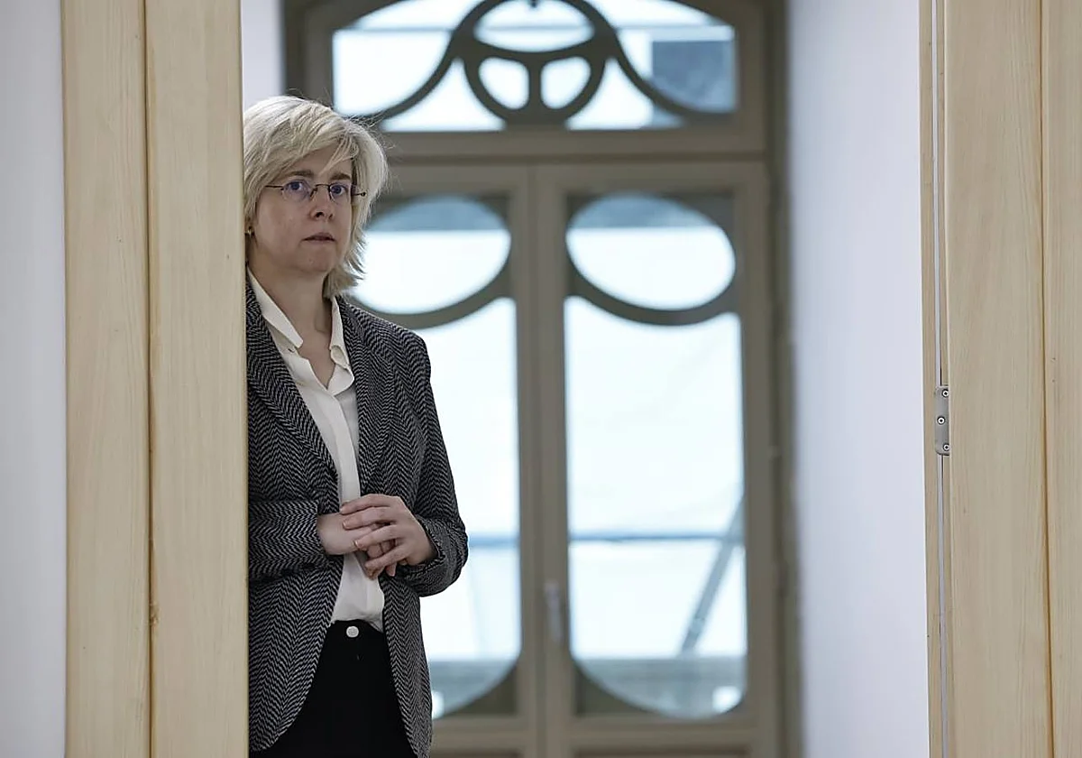 Sehila González de Vicente: «En diez años tendremos prototipos comerciales de fusión nuclear»