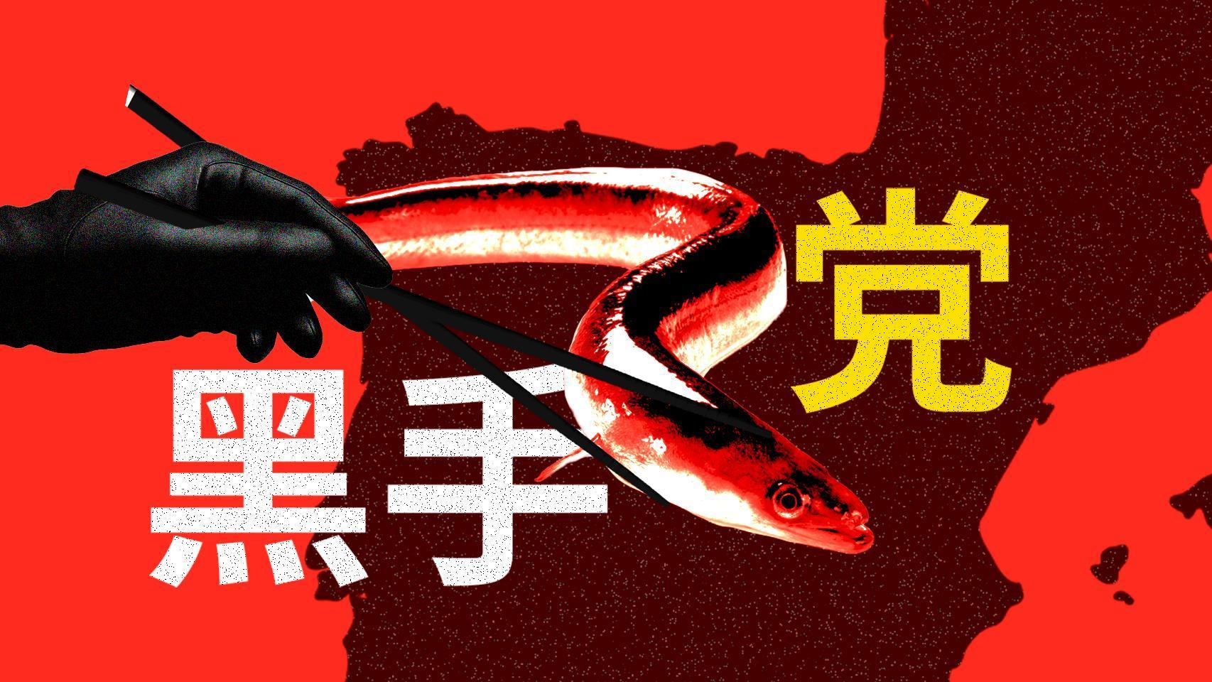 La mafia del 'oro transparente': así se vende en China la angula del Cantábrico que pescan los furtivos, un negocio de 3.000 M