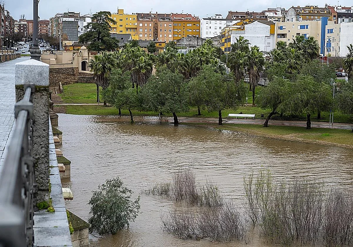 Encuentran en el río el cuerpo sin vida del joven desaparecido en Badajoz desde el sábado