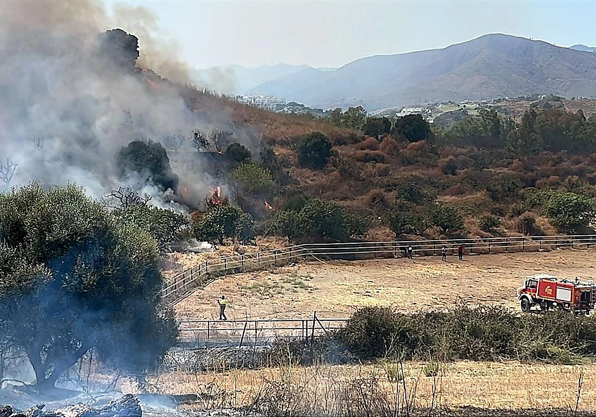 Mijas launches forest fire prevention workshop to protect homes and woodlands