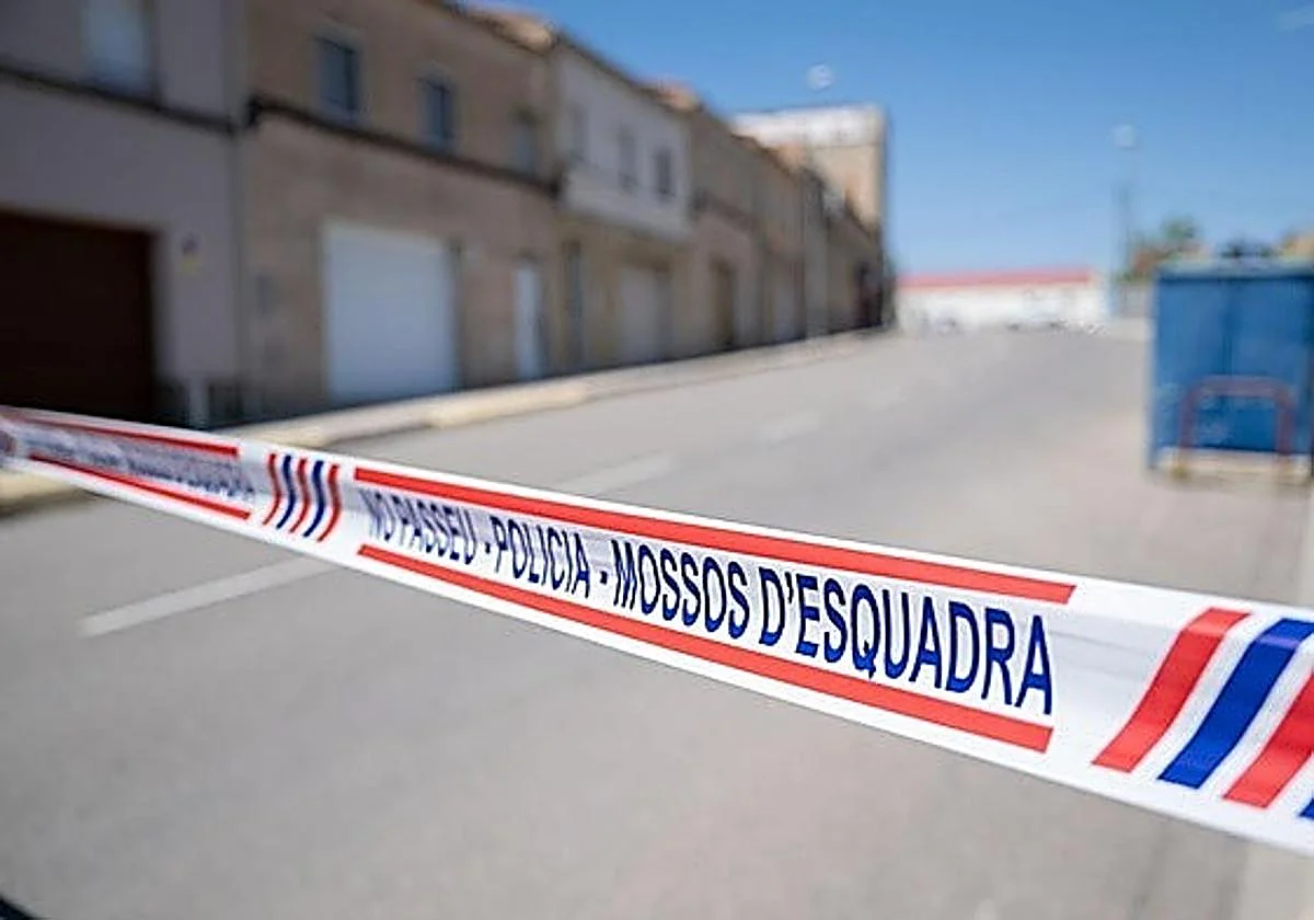 Cae una red de tráfico de hachís asentada en varias ciudades con vínculos en Marbella