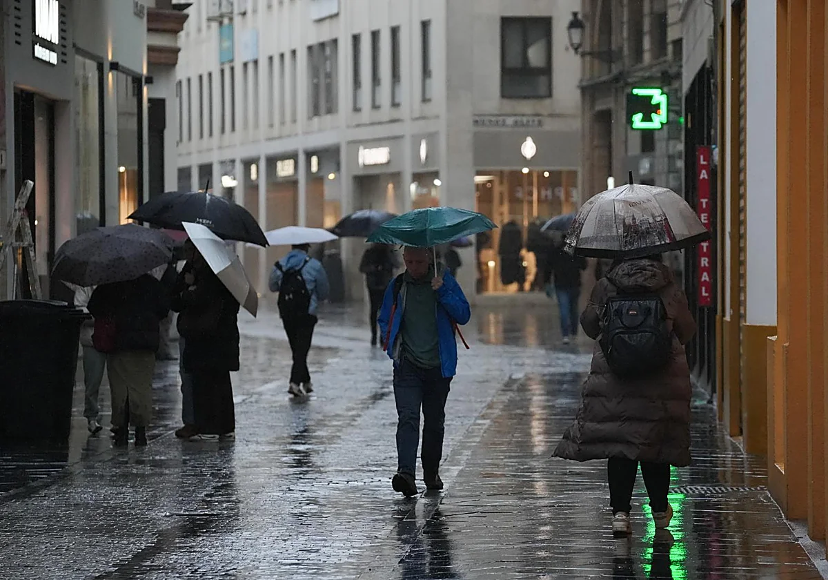 Las lluvias dejan 193 litros en lo que va de año, dos veces y media más de lo normal