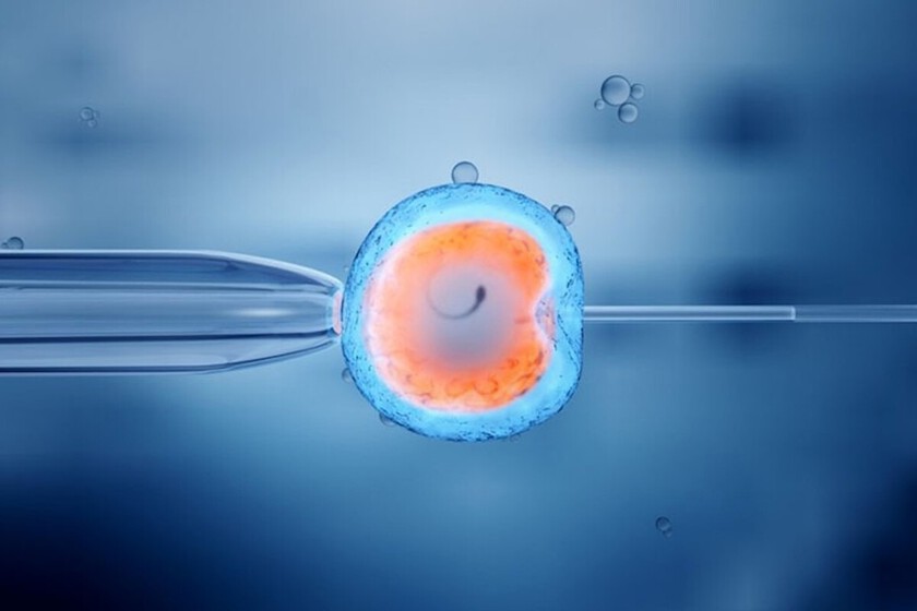 No sabíamos casi nada de la "caja negra" de la vida, el momento inicial de la fecundación: eso se ha terminado