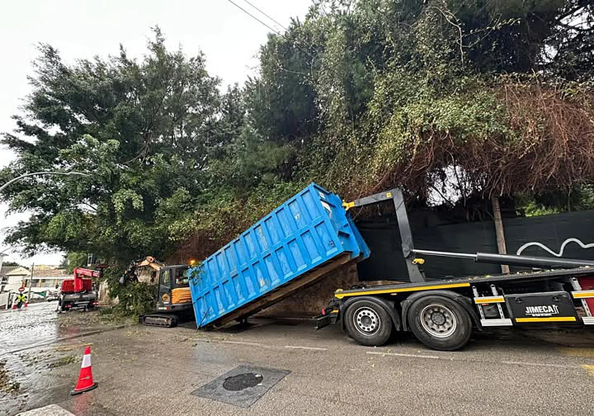 Torremolinos venderá una parcela abandonada que se había convertido en un peligro por su descontrolada vegetación