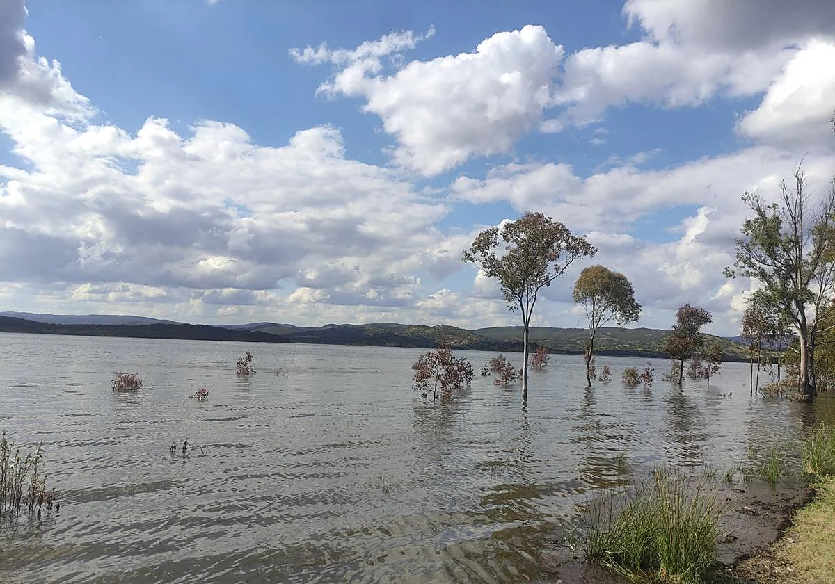 Las borrascas elevan el caudal de los embalses por encima del 76% de su capacidad