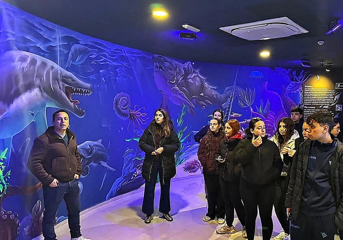 Almuñécar aquarium turns into art gallery