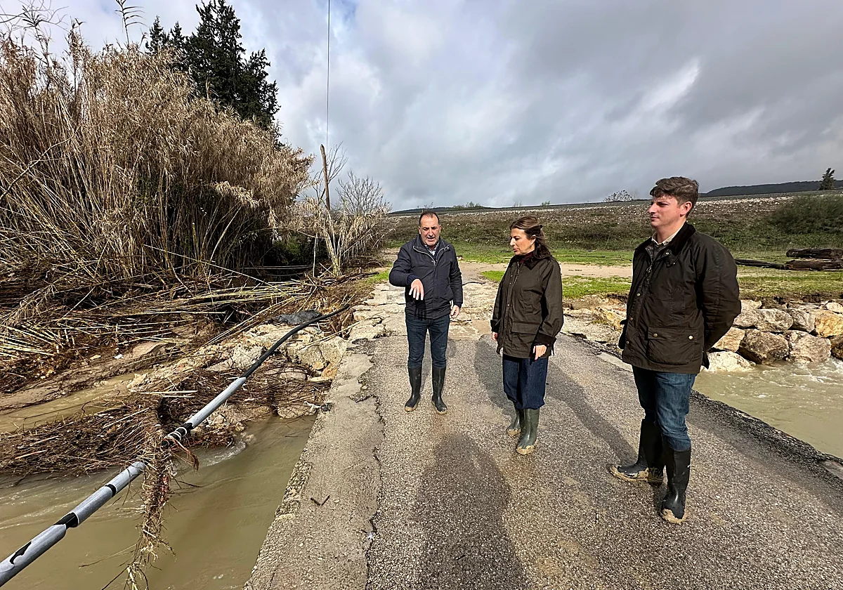 Ronda contabiliza más de un millón de euros en daños por el temporal