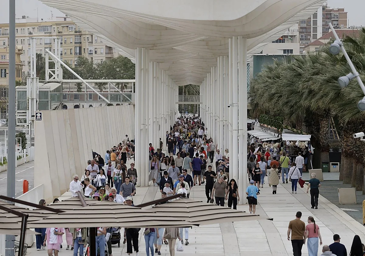 Malaga population surpasses 1.8 million as foreign-born residents drive 95% of growth