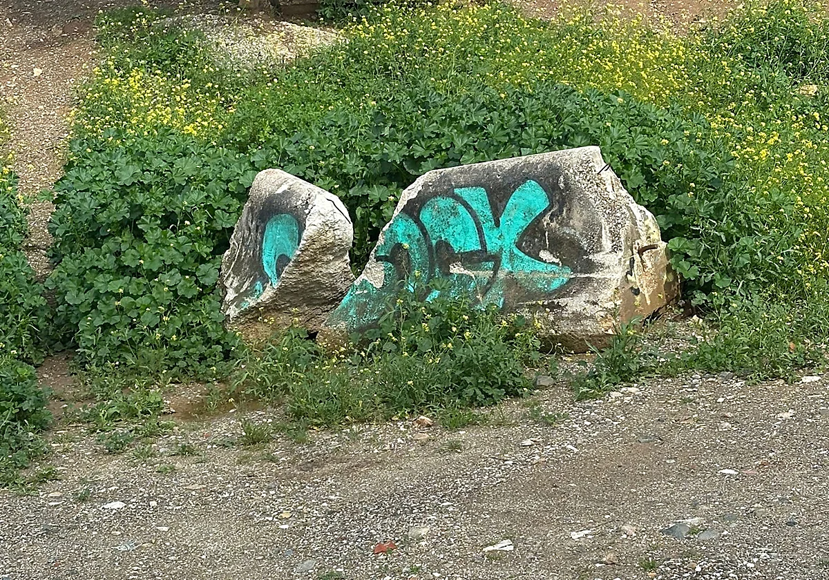 La parte de arriba de San José vuelve a «asalvajarse»