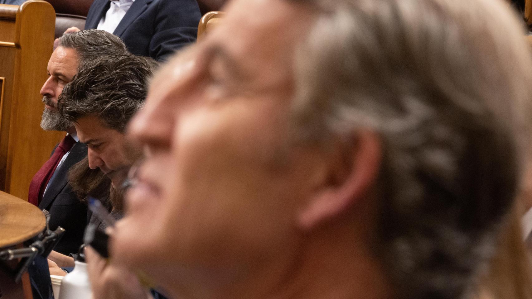 ¿Está desorientado el PP por el súbito ascenso de Vox? La crisis de identidad de la derecha liberal, vista por nueve autores