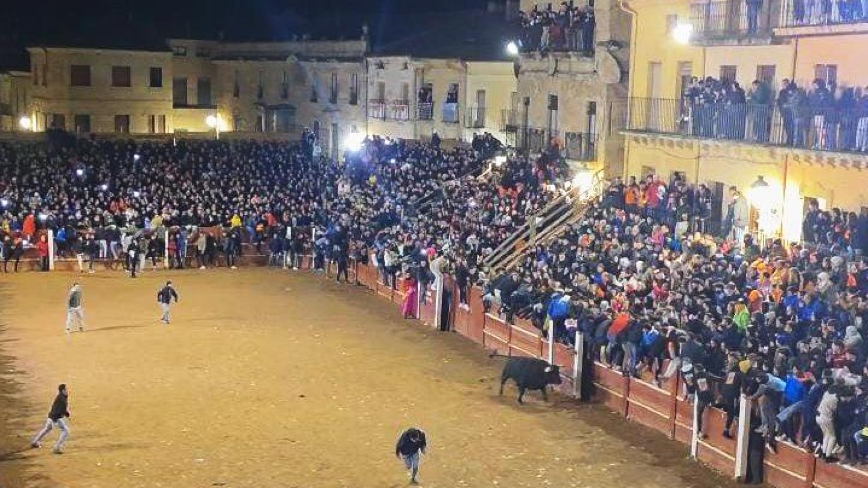 Muere un hombre por una cornada en el pecho en la capea del Carnaval del Toro de Ciudad Rodrigo