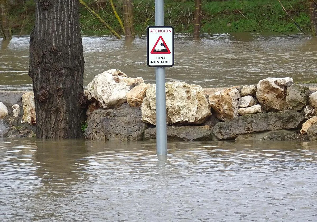 El desbordamiento del Duero obliga a confinar y desalojar viviendas en Soria