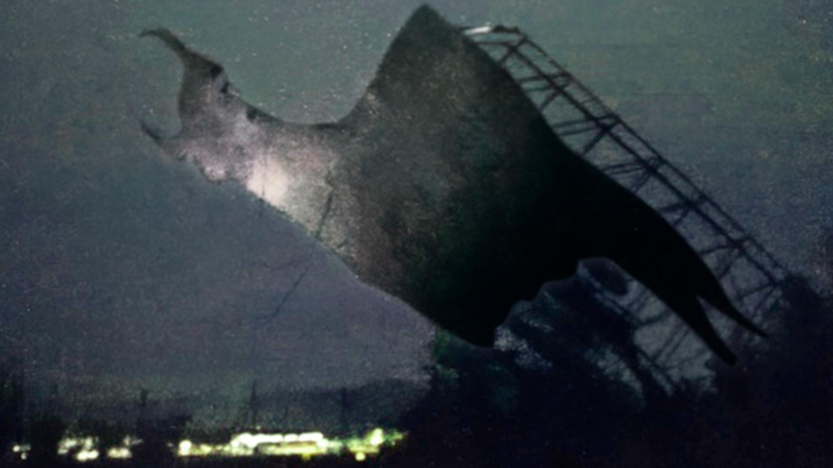 Del derribo del toro de Osborne a la pintada de placas en honor a las víctimas de ETA: el auge de la nueva 'kale borroka'