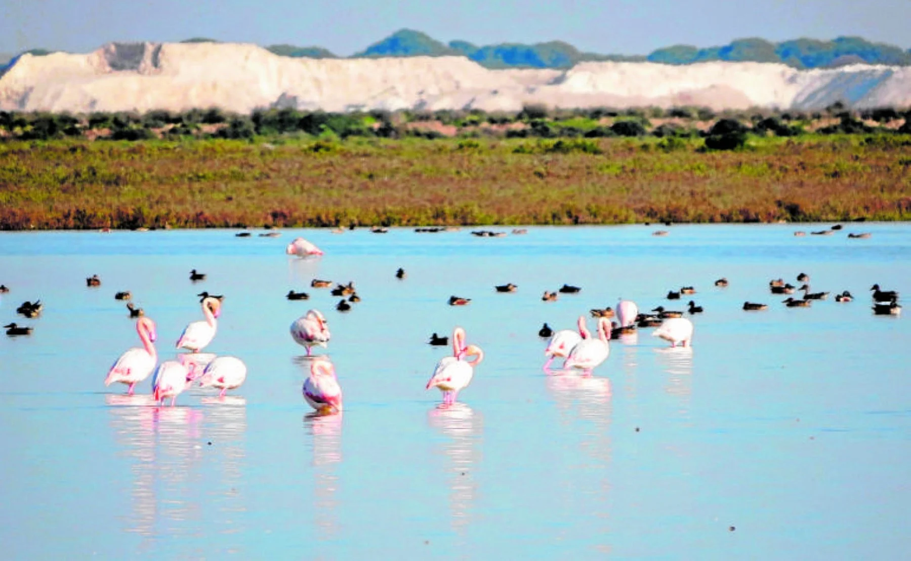 Doñana respira con las lluvias, pero no aleja su déficit hídrico estructural