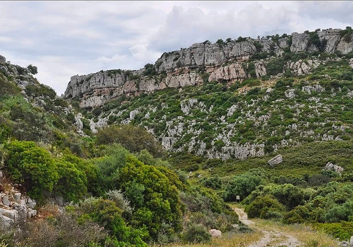 La Plataforma para la Conservación de la Sierra de Utrera pide a la Junta el desbloqueo de su declaración como Bien de Interés Cultural