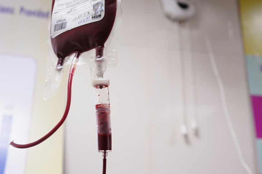Ni A ni B ni O: hemos encontrado un rarísimo tipo de sangre "híbrido" que solo lo poseen tres personas de medio millón