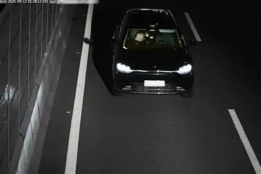 Trucar tu coche para que te lleve a casa mientras duermes la borrachera parece una gran idea. Hasta que acabas en una cárcel china