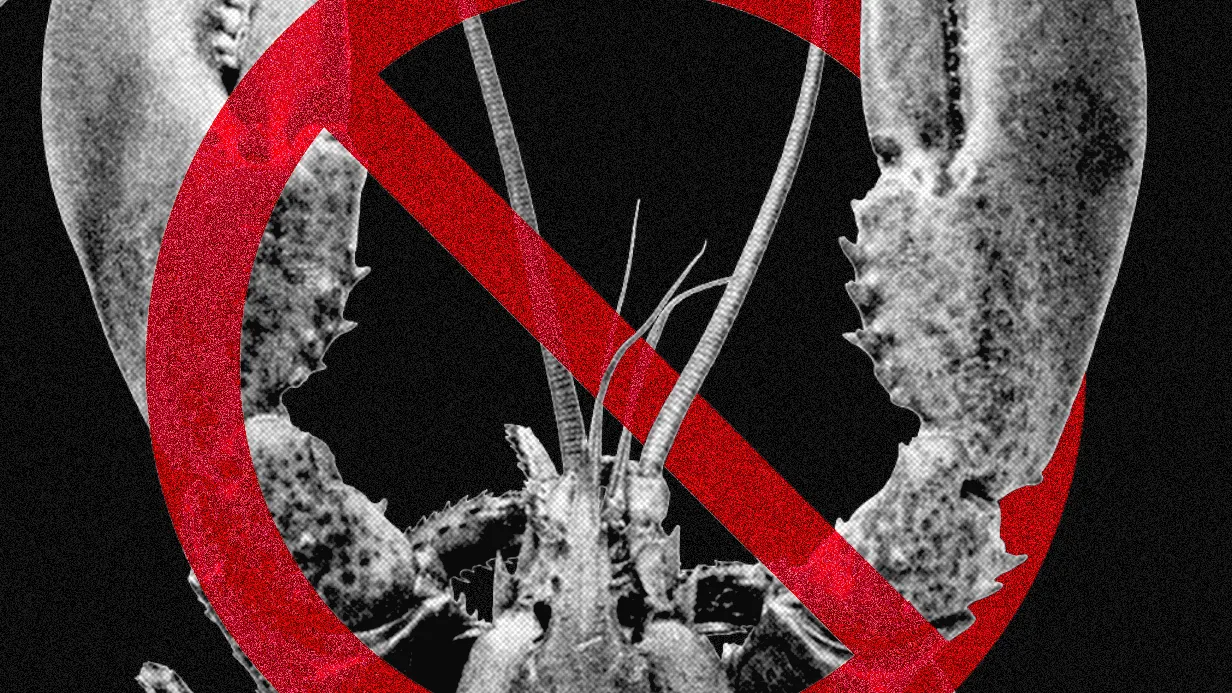 Meta y otras tecnológicas restringen OpenClaw, la IA que puede tomar el control de computadoras