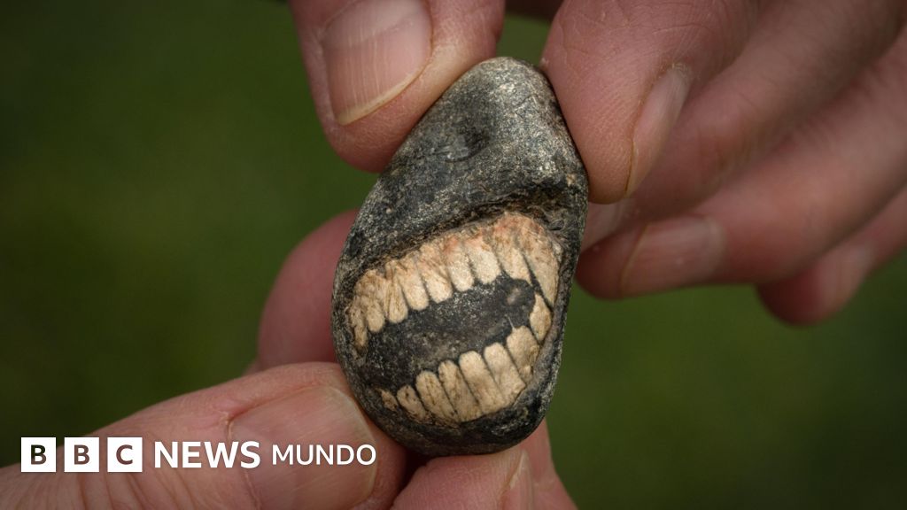 El sorprendente fósil sonriente hallado en una isla en el norte de Inglaterra