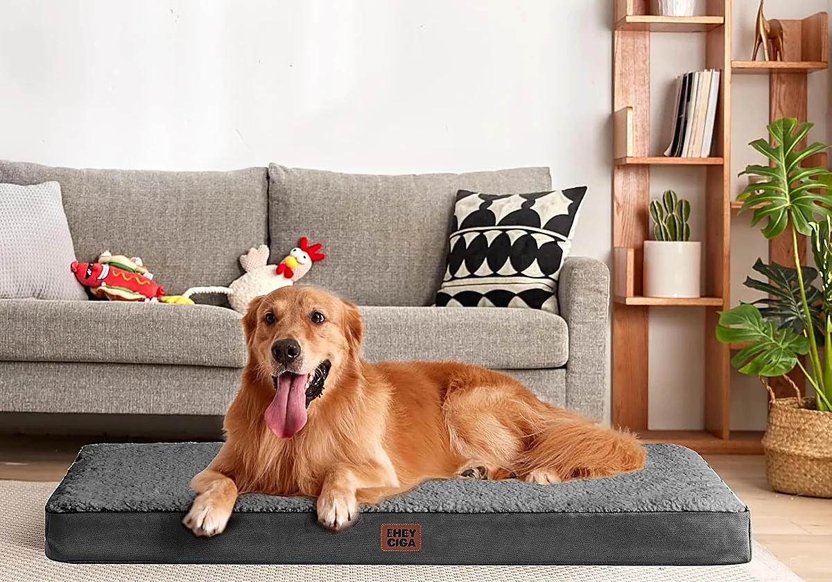 Estas camas viscoelásticas para perros cuidarán su descanso y aliviarán su presión articular