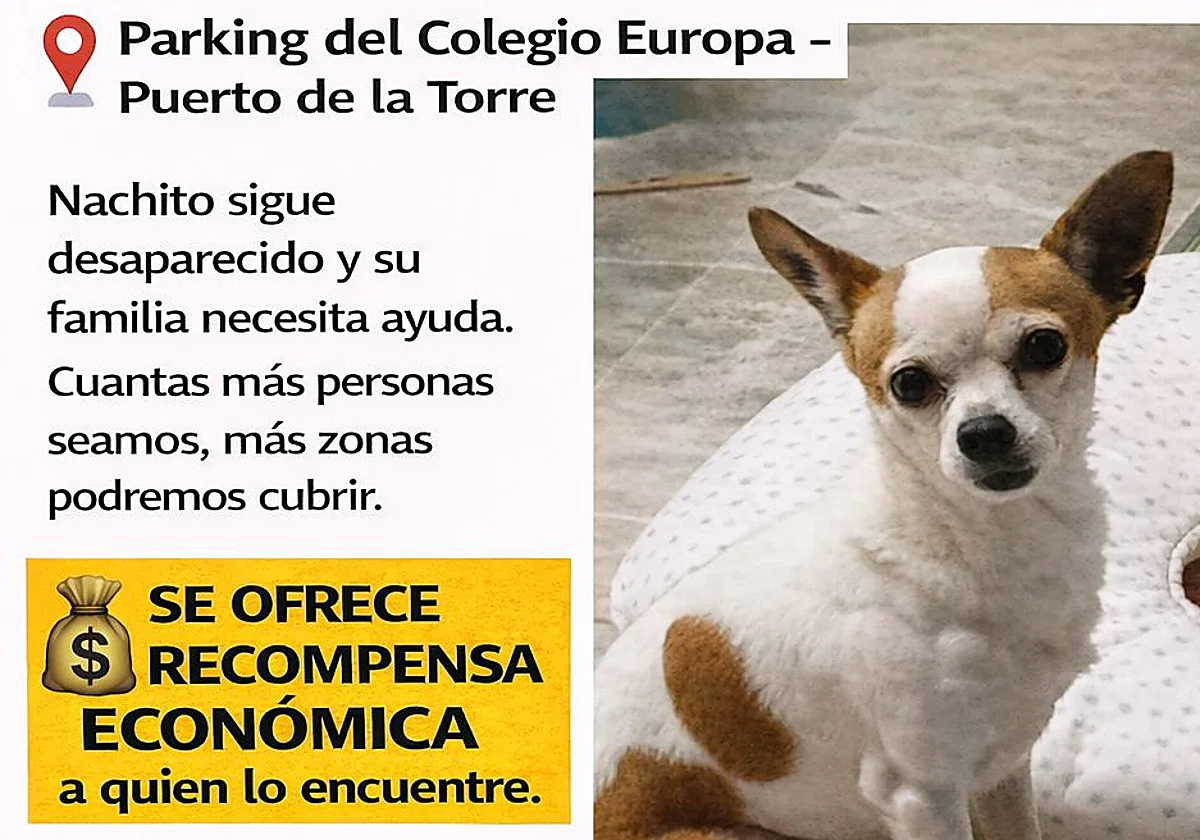 Puerto de la Torre se moviliza para encontrar a Nachito, un perro de 16 años que se perdió el lunes