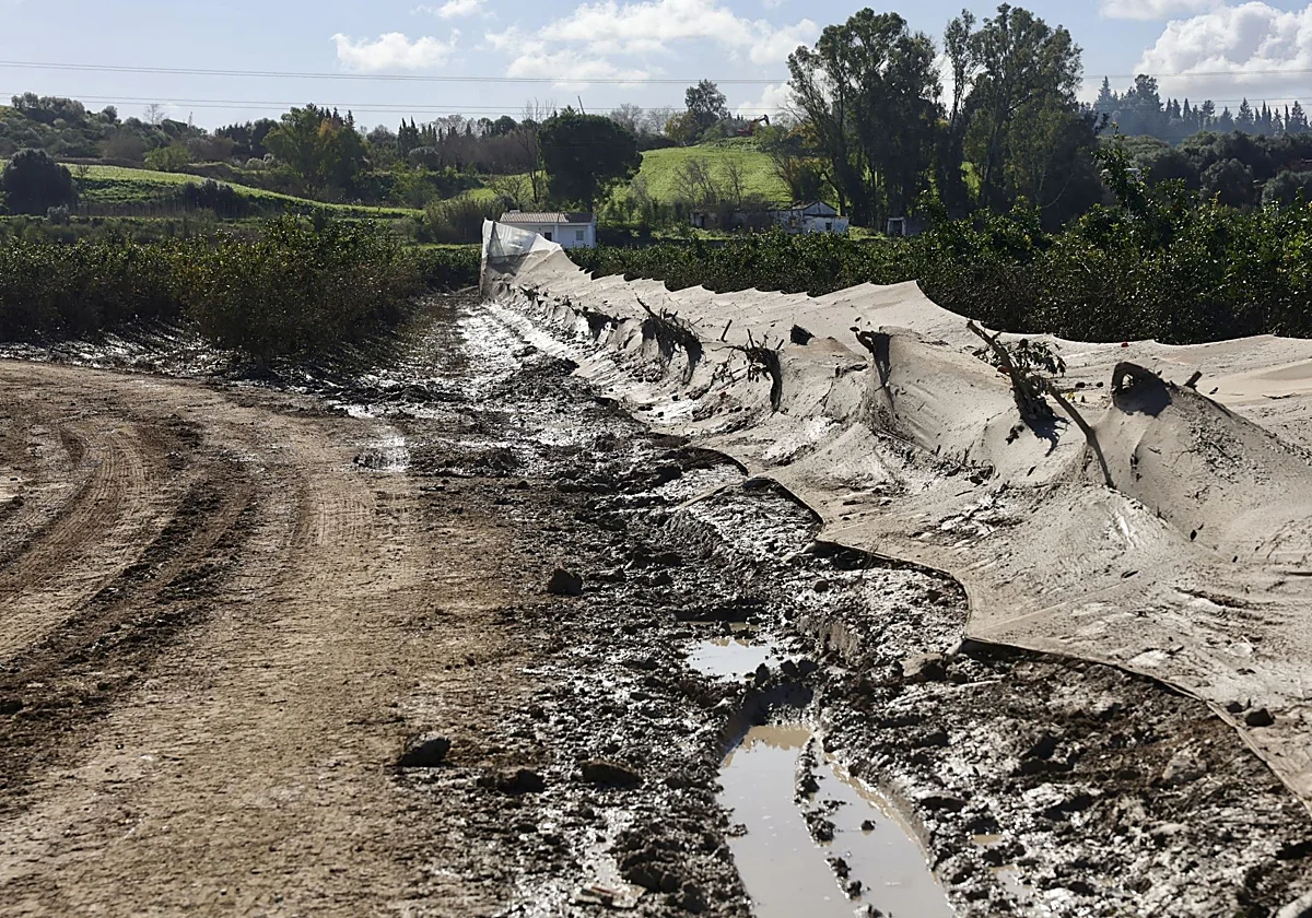 La Junta financiará con superávit de otros años la mayor parte de las ayudas por el temporal