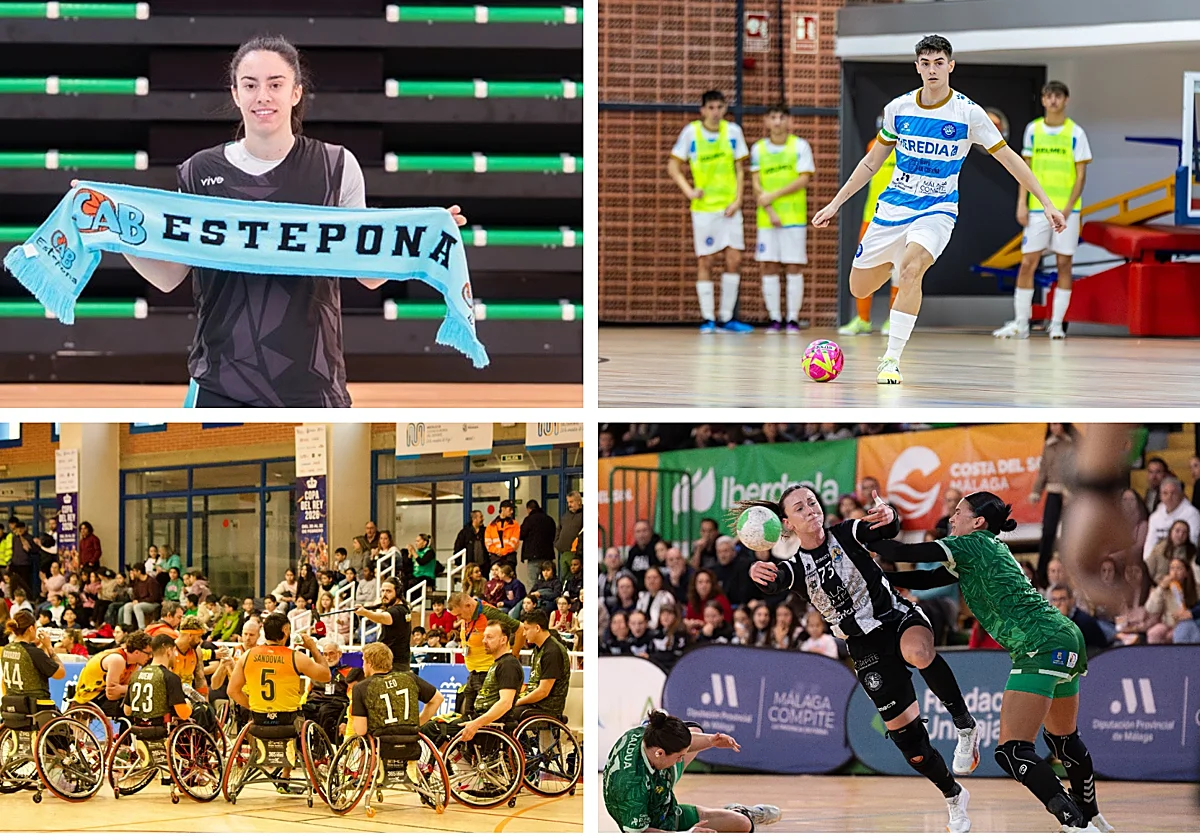 Polideportivo malagueño: Jornada llena de partidos cruciales para los equipos de la provincia
