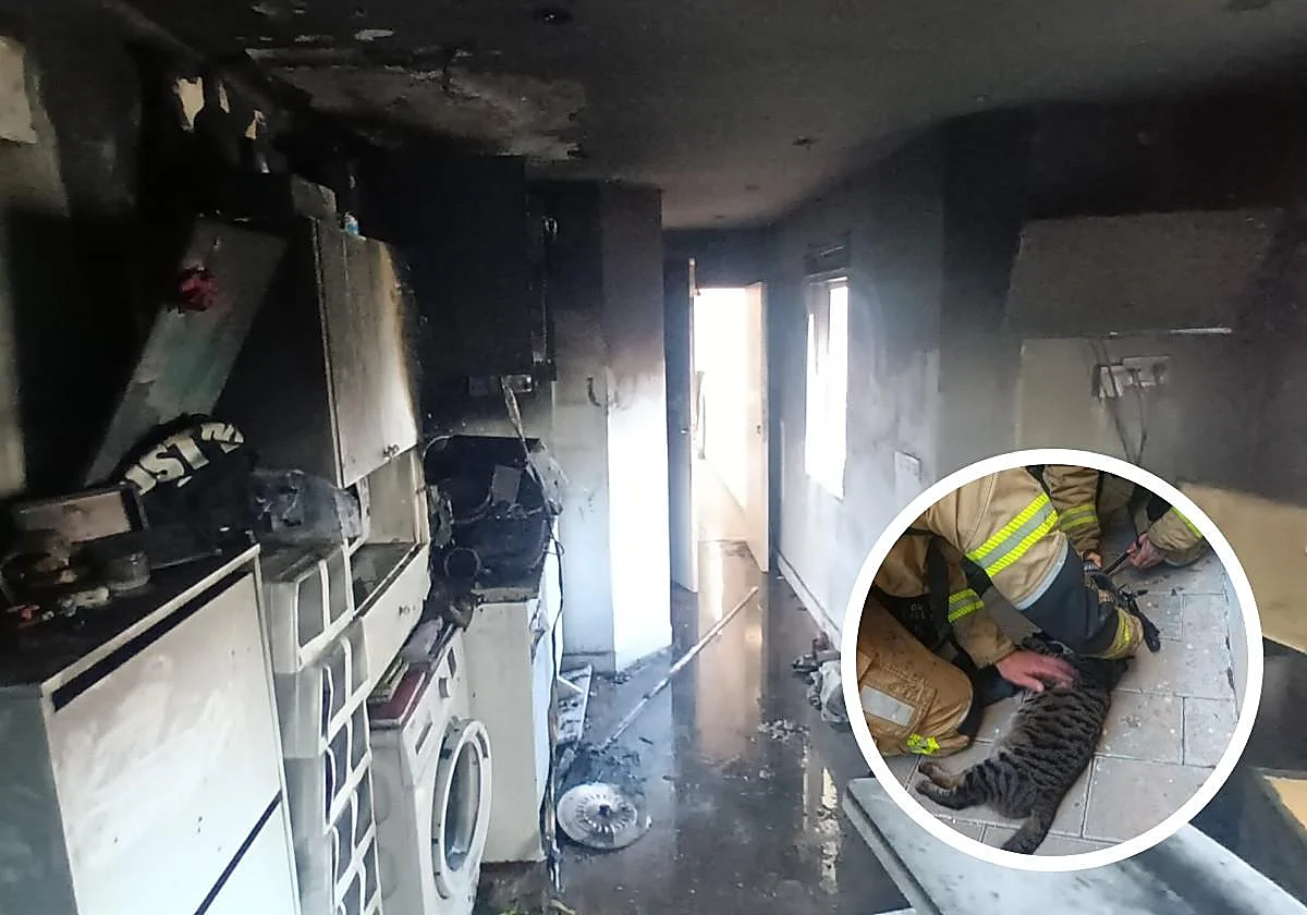 Un incendio calcina un piso en Cruz de Humilladero y los bomberos intentan reanimar a un gato