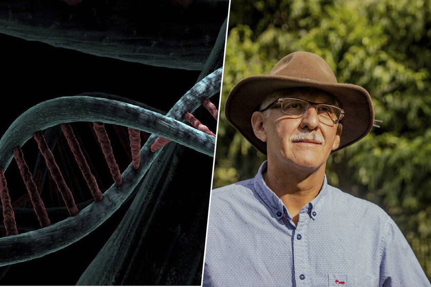 Durante años culpamos a la testosterona de que los hombres vivieran menos. Ahora sabemos que el culpable es un cromosoma