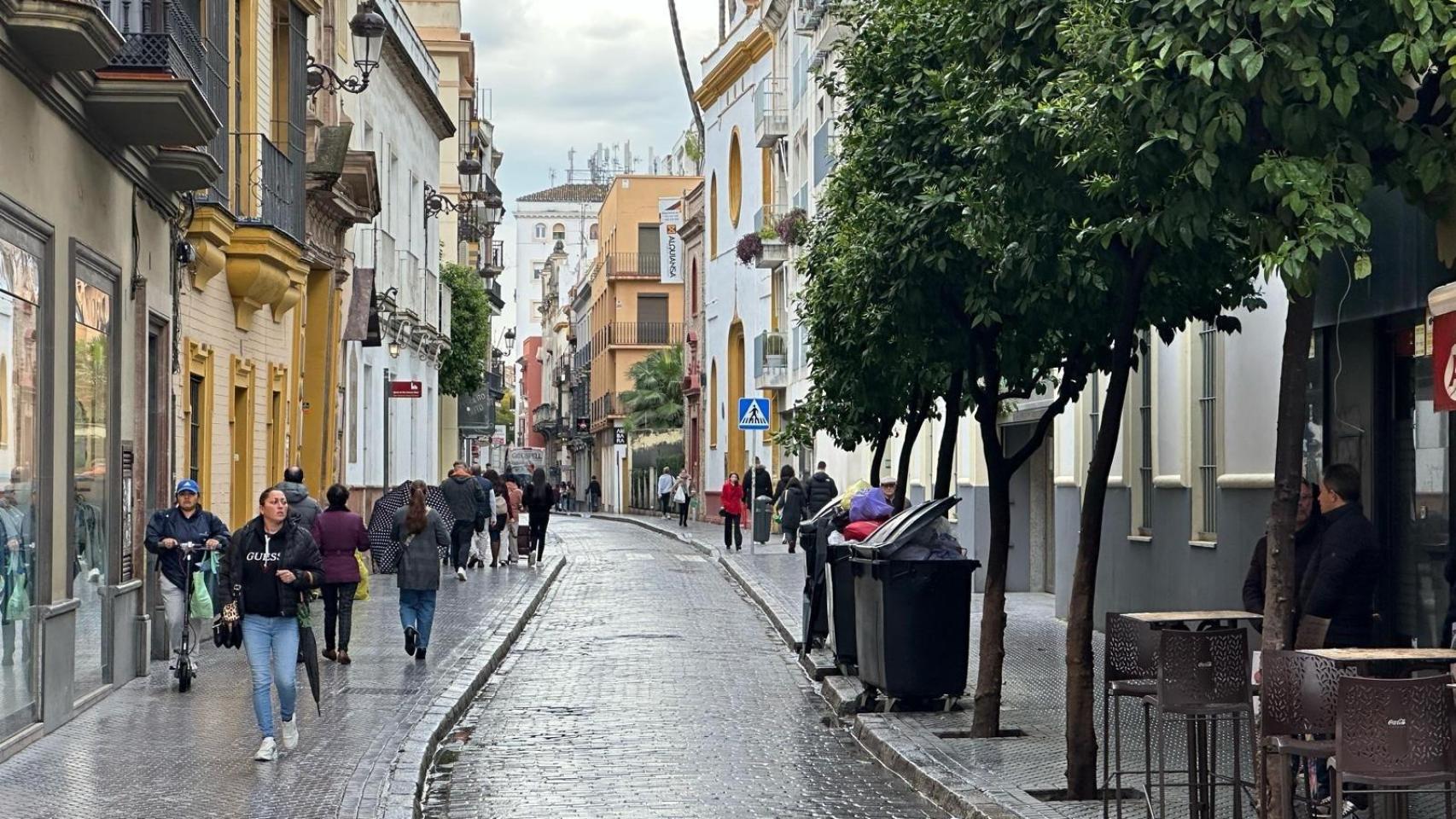 La vivienda arranca el año en Sevilla con descensos en zonas 'premium' como El Prado, Centro y La Macarena